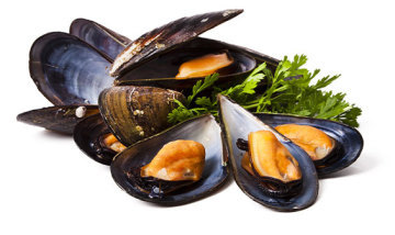 Mussels