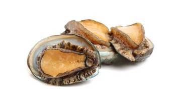 Abalone