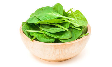 Spinach Leaf (Euro)