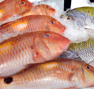What to Look for when Purchasing Whole Fish