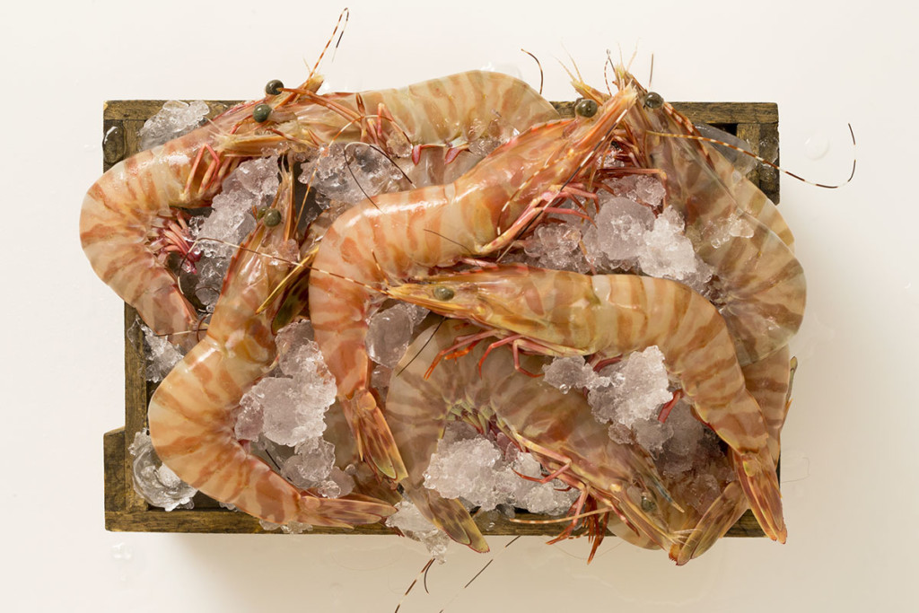 Shark Bay King and Tiger Prawns Product Table