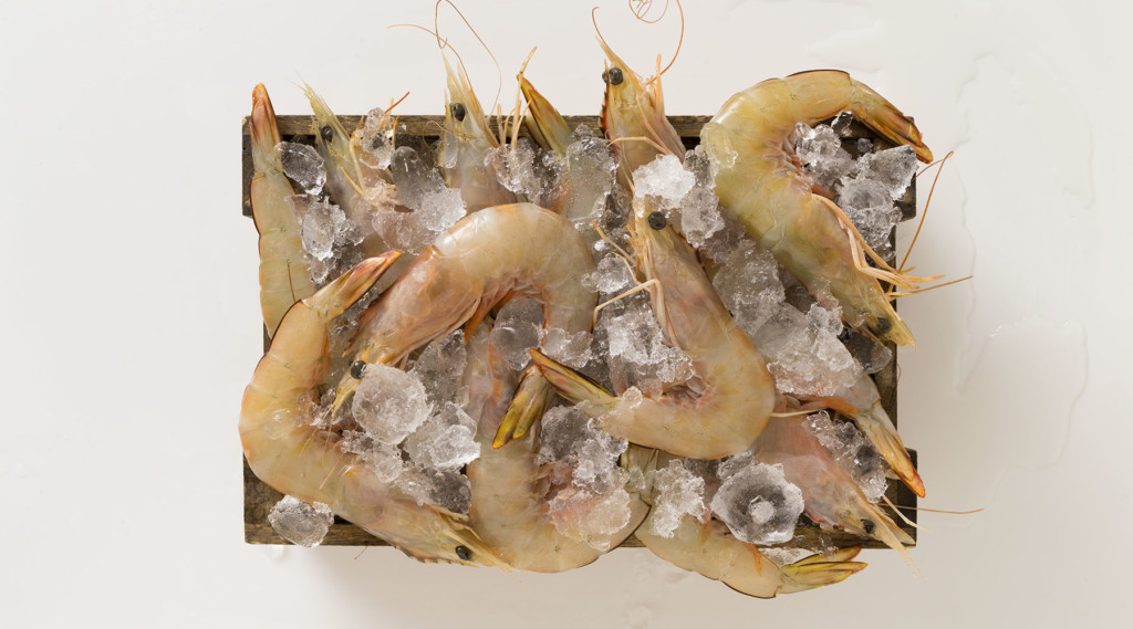 East Coast Queensland Prawns - East Coast Product Table