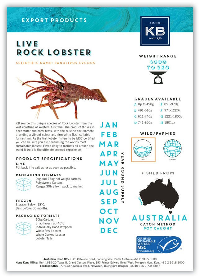 brochure image